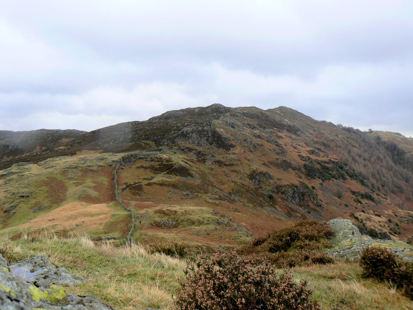 Lingmoor Fell Lingmoor Fell